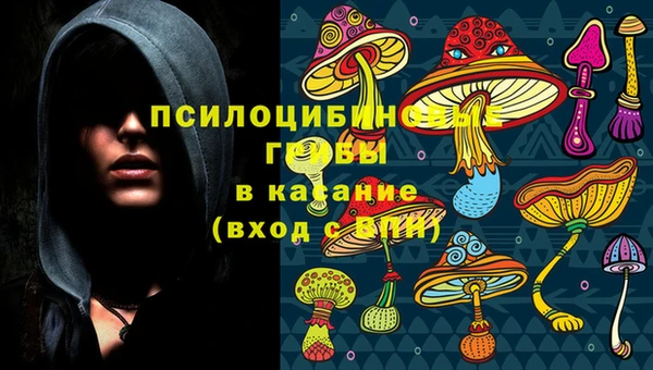 сатива Балабаново