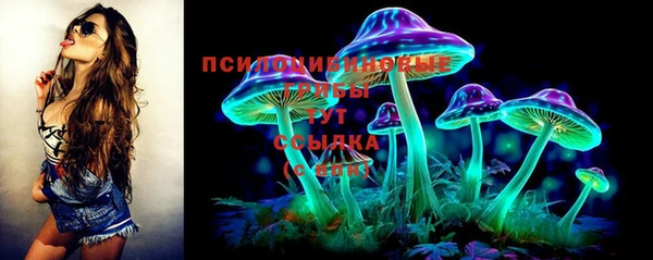 тгк Кодинск