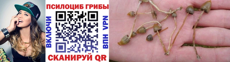 Псилоцибиновые грибы мицелий  МЕГА зеркало  Грайворон 